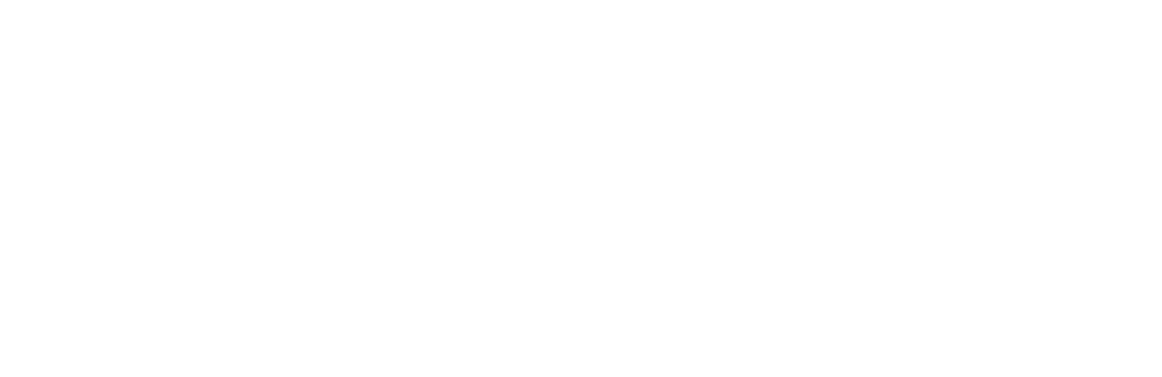 Shopify-Logo - Edited-2-2